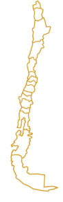 Contorno de Chile